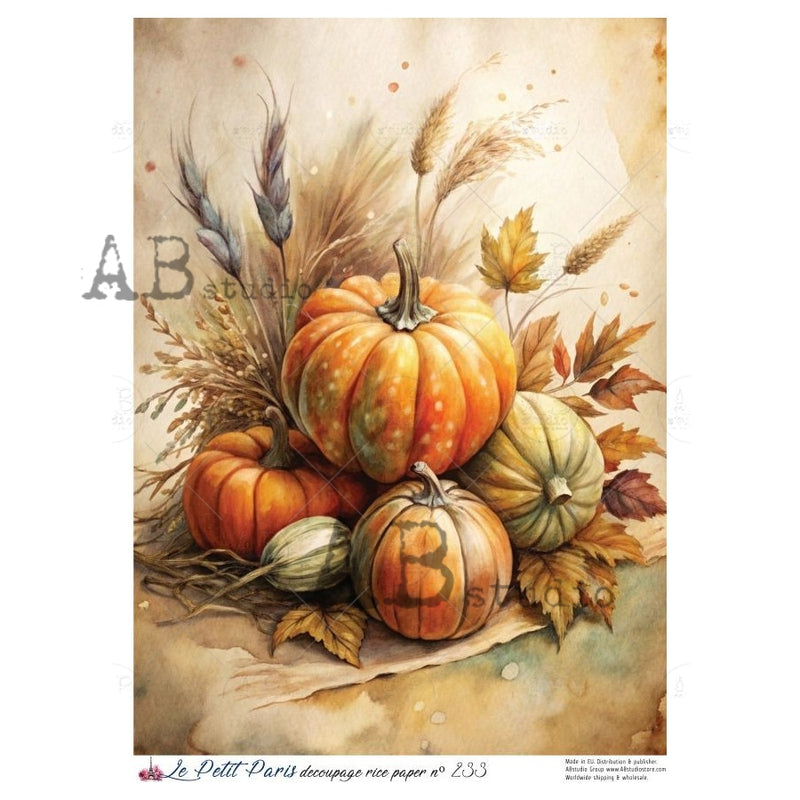 ABstudio - Rice Paper - Le Petit Paris No. 233