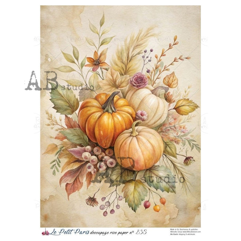 ABstudio - Rice Paper - Le Petit Paris No. 235