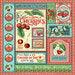 Life's A Bowl Of Cherries Collection - 12 x 12 Double Sided Paper - Life's A Bowl Of Cherries - Root & Company