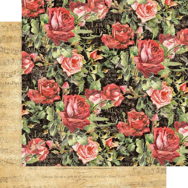 Love Notes Collector’s Edition 12×12 Pack with Stickers - Root & Company