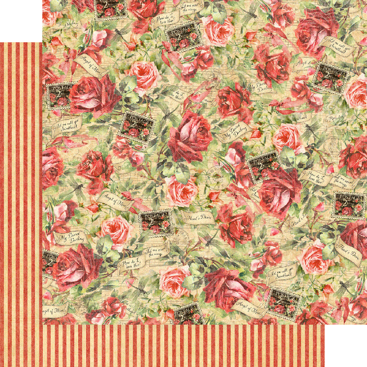 Love Notes Collector’s Edition 12×12 Pack with Stickers - Root & Company