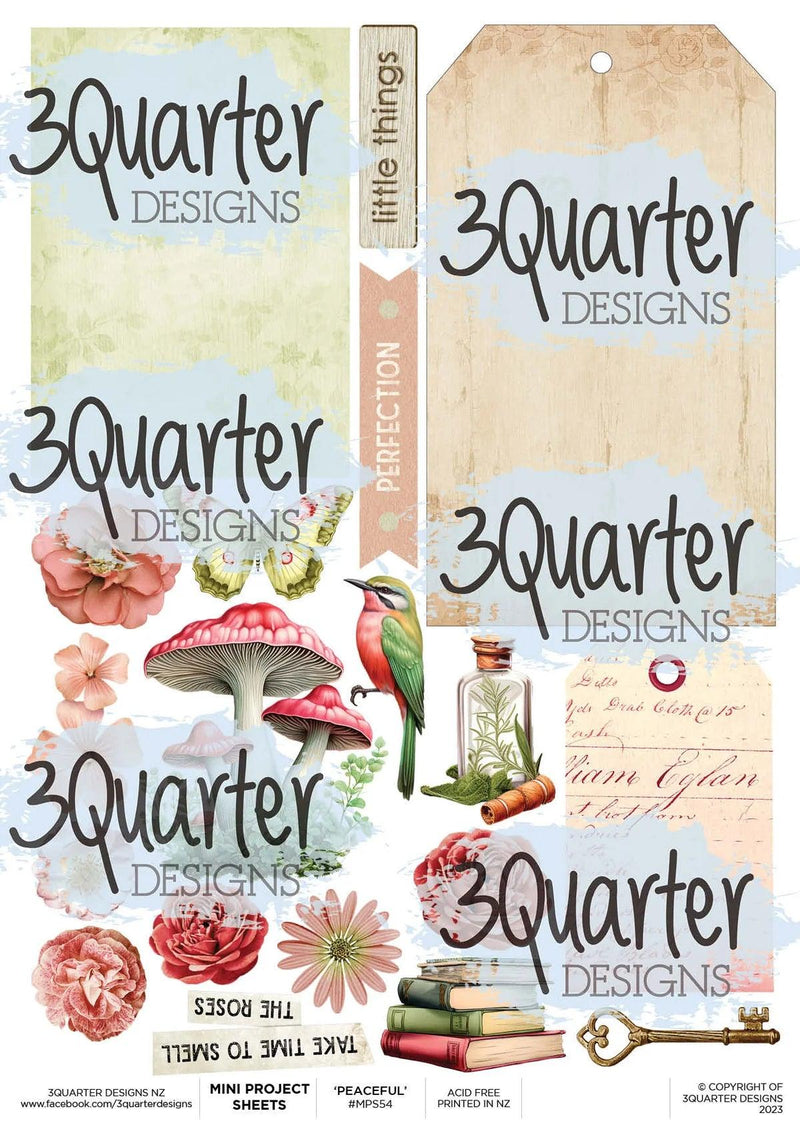 Peaceful Illusions - Mini Project Sheet - Root & Company