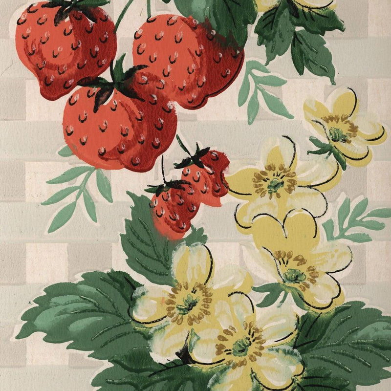 Simple Stories - Simple Vintage Berry Fields Collection - 12 x 12 Double Sided Paper - Root & Company