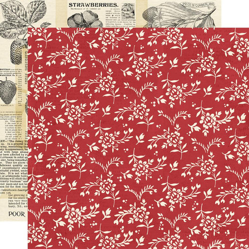 Simple Stories - Simple Vintage Berry Fields Collection - 12 x 12 Double Sided Paper - Root & Company