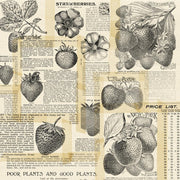 Simple Stories - Simple Vintage Berry Fields Collection - 12 x 12 Double Sided Paper - Root & Company