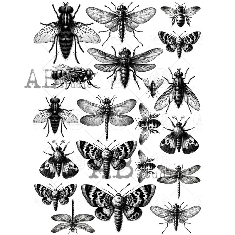 ABstudio - Paper Sticker Sheet - No. 0028