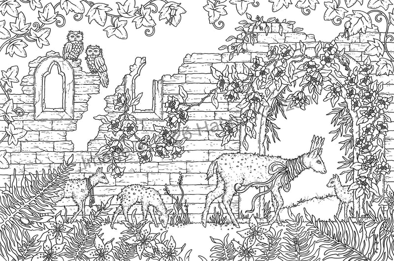 Hanna Karlzon - Tales from the Castle Ruins
