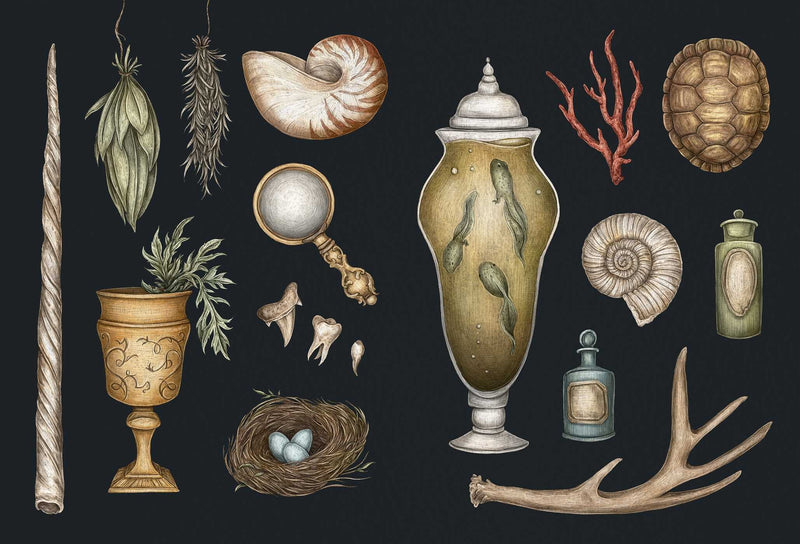 Jessica Roux - The Collector's Curio - A Sticker Treasury