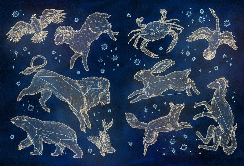 Jessica Roux - The Collector's Curio - A Sticker Treasury