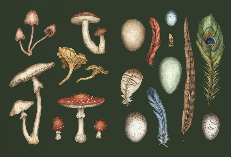 Jessica Roux - The Collector's Curio - A Sticker Treasury