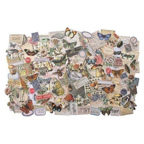 Tim Holtz Idea-ology: Ephemera Pack Field Notes - Root & Company