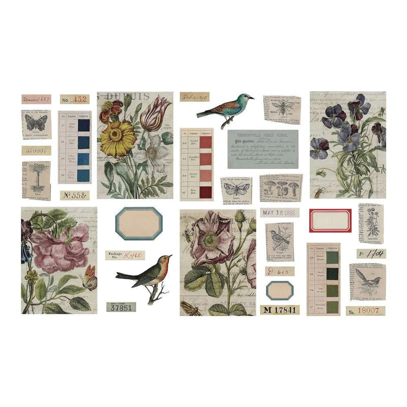 Tim Holtz Idea-ology Transparent Things 2 - Root & Company