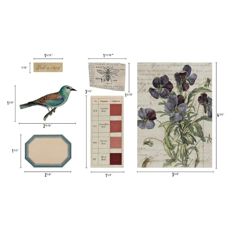 Tim Holtz Idea-ology Transparent Things 2 - Root & Company