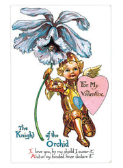 Valentine's Day Postcard Box - 36 Unique Vintage Postcards - Root & Company