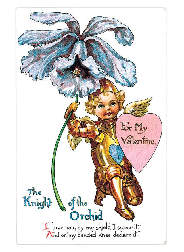 Valentine's Day Postcard Box - 36 Unique Vintage Postcards - Root & Company