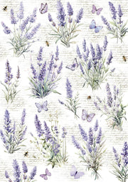 Vellum Morning In Provence Paper Patterns A4 6/Pkg - Root & Company