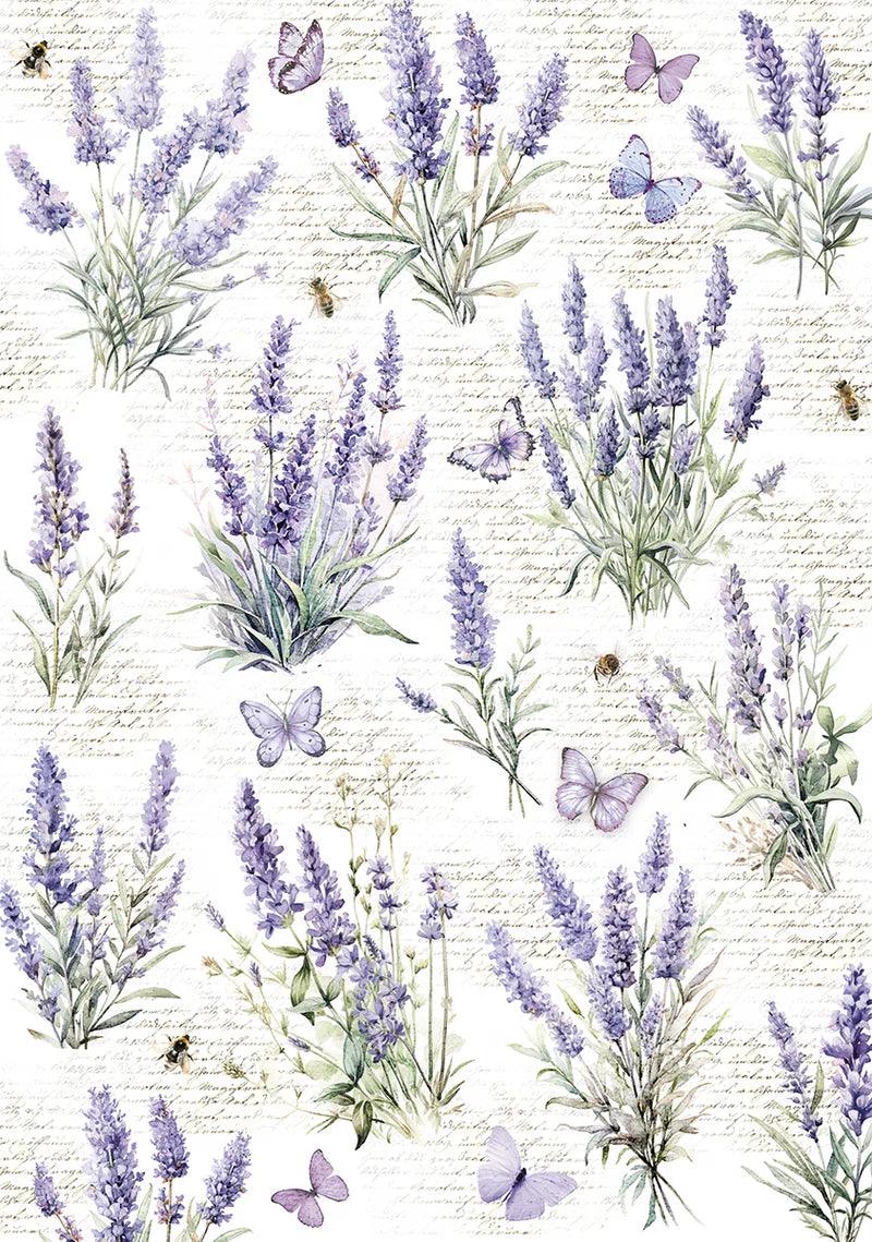 Vellum Morning In Provence Paper Patterns A4 6/Pkg - Root & Company